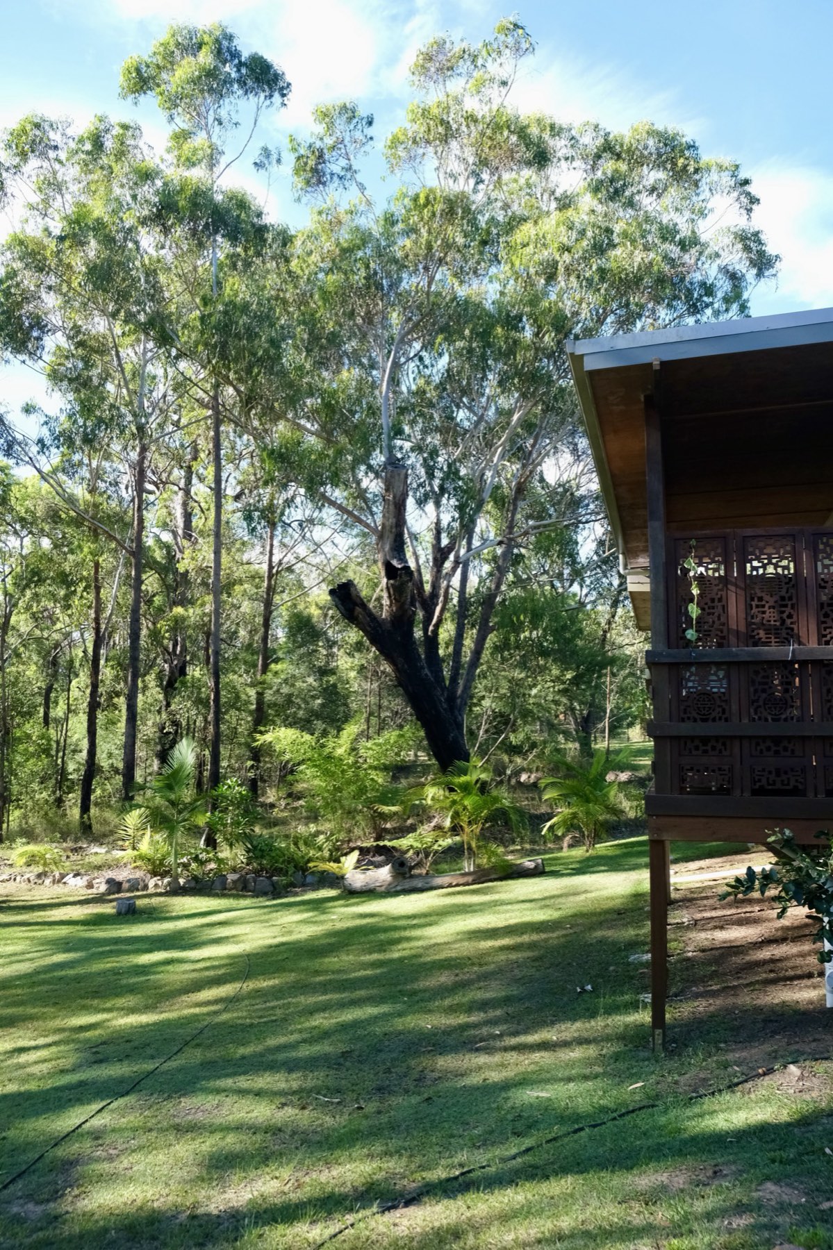 Shalom studio and guest house set in bushland at Ashby, in the Yamba hinterland